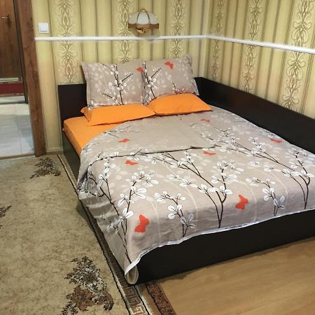 Danubian Hotel Vidin Luaran gambar