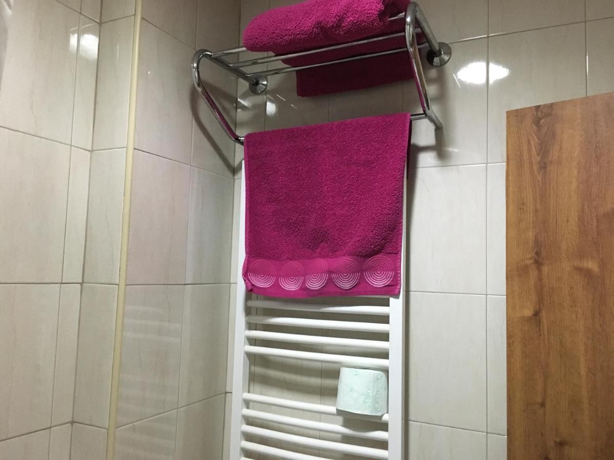 Danubian Hotel Vidin Luaran gambar