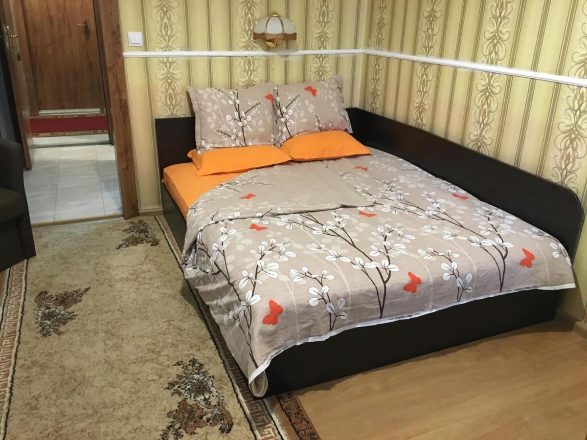 Danubian Hotel Vidin Luaran gambar