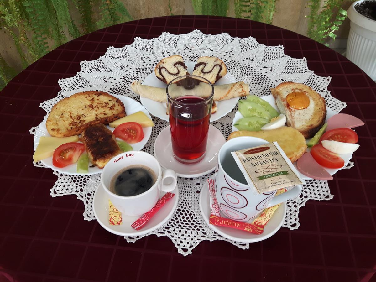 Danubian Hotel Vidin Luaran gambar